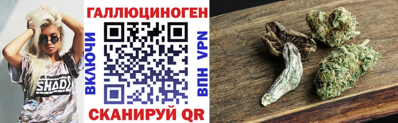 мега ССЫЛКА  продажа наркотиков  Нефтекамск  Псилоцибиновые грибы MAGIC MUSHROOMS 