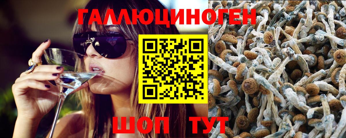 Нефтекамск  Псилоцибиновые грибы ЛСД  Вход с VPN 